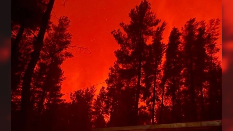 Acusan a Milei de “desfinanciar” el Servicio Nacional del Manejo del Fuego