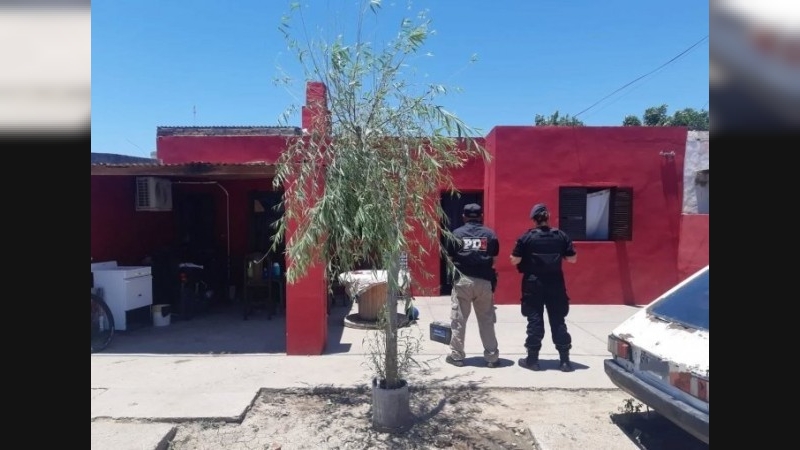 Un detenido en Ceres por hurto calificado y resistencia a la autoridad