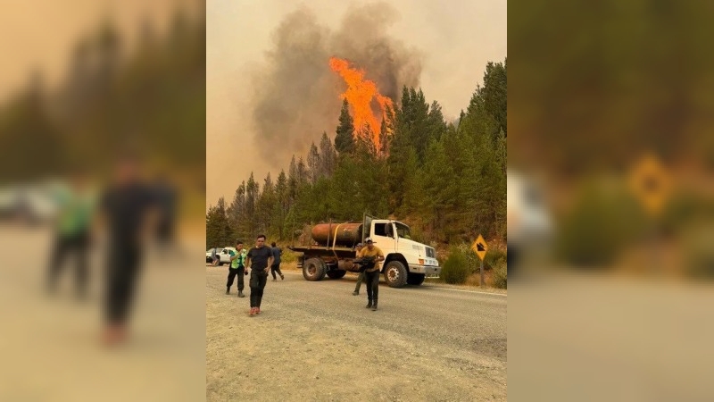Alerta en Chubut: se reactivaron los incendios forestales por los vientos y las altas temperaturas