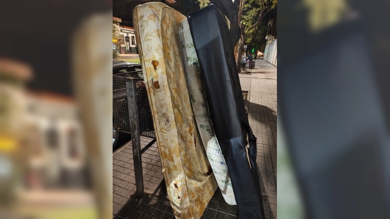Vecinos desaprensivos ensucian la ciudad