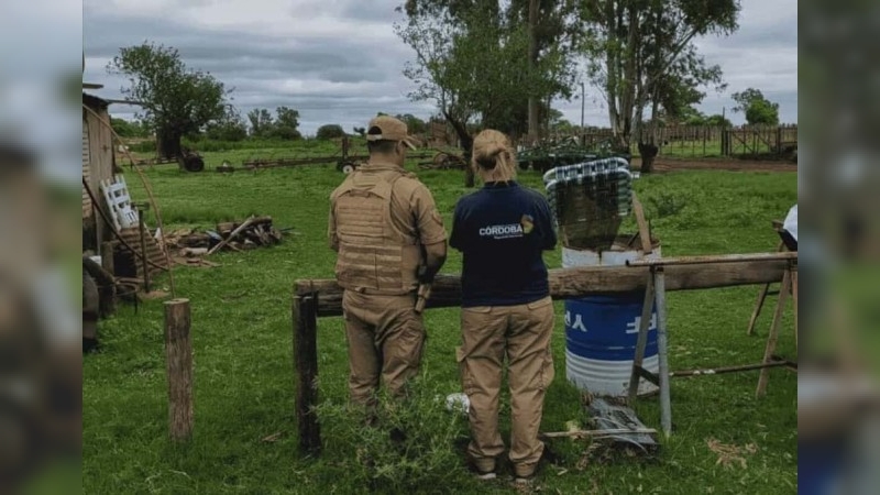 La Francia: clausuran comercios por faenamiento y venta ilegal de carne