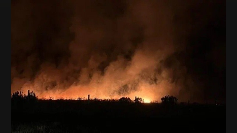 Incendio forestal en Mar del Plata: más de 200 hectáreas arrasadas