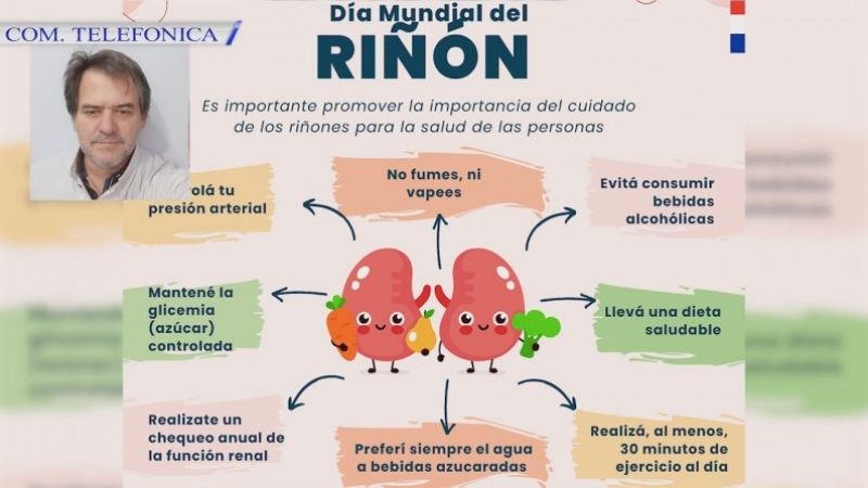 Día Mundial del Riñón: destacan la importancia de los controles para prevenir enfermedades renales