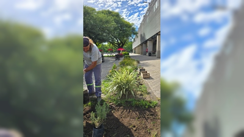 Se trabaja en la renovación de plazas, parques y paseos antes de la llegada del otoño