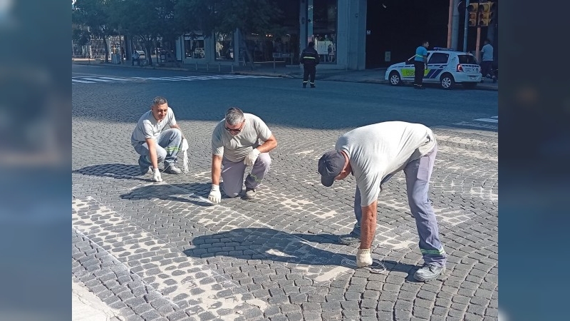 Infraestructura: municipio avanzó esta semana con bacheo, arreglos de cordón cuneta y pintado de sendas peatonales