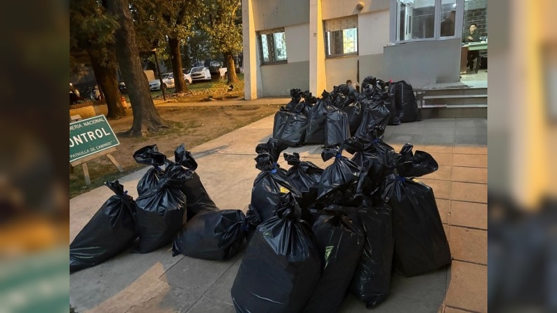 Gendarmería incautó una tonelada de sábalos trasladados de manera irregular en un camión