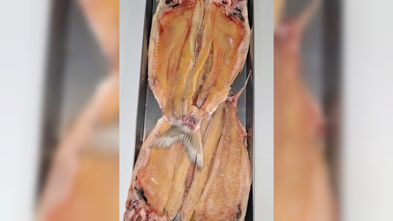 Semana Santa: cuánto cuesta el pescado y qué se consigue en San Francisco