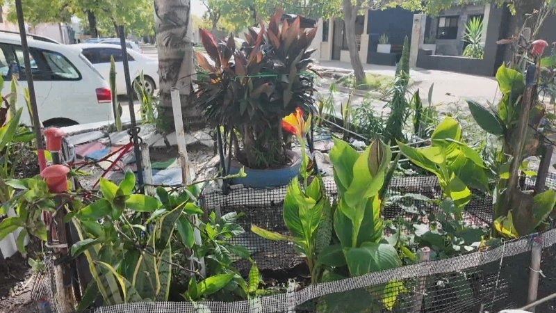 Miguel, el vecino de barrio Las 800 que cuida una plaza con esfuerzo propio