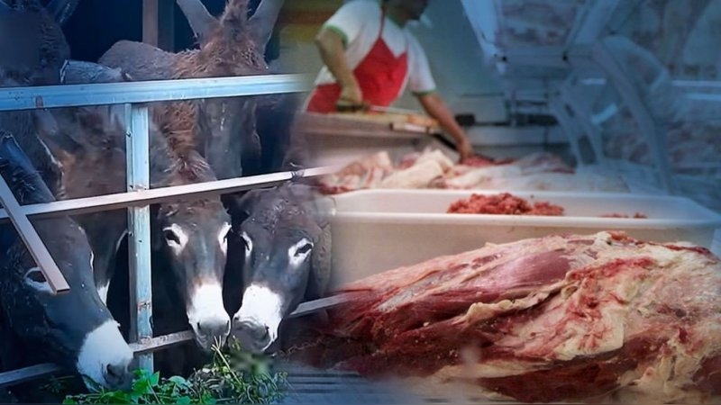 Inesperado: la carne de burro a $7.500 gana terreno y marca un giro