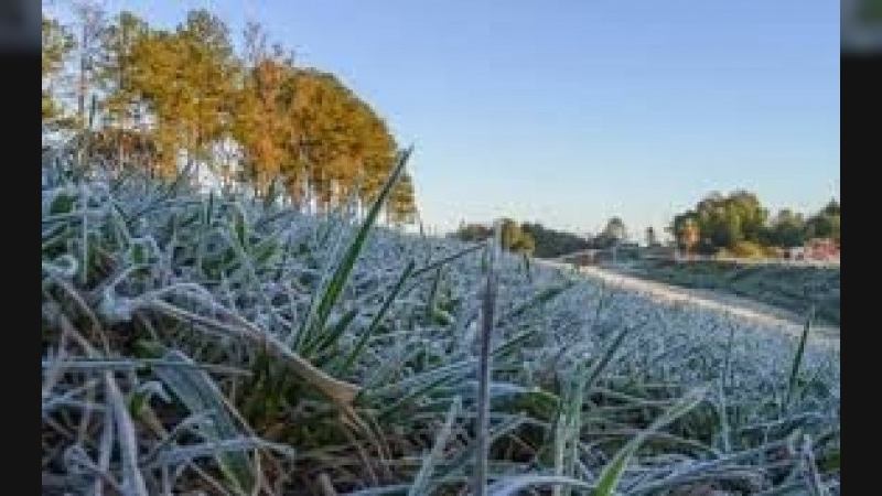  Las heladas volvieron a decir presente en Córdoba: 10 localidades con temperaturas bajo cero