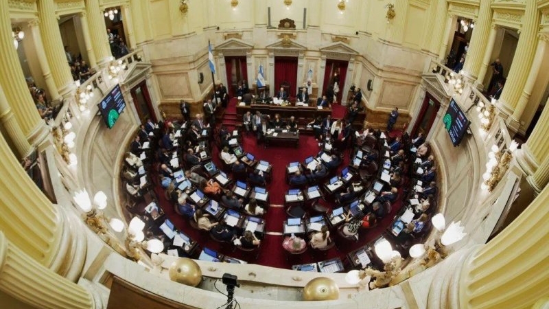 Senado debatirá la continuidad de Mahiques y proyectos sobre armas y fondos buitres
