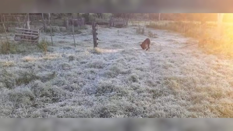Temperaturas bajo cero y heladas  en gran parte del interior cordobés