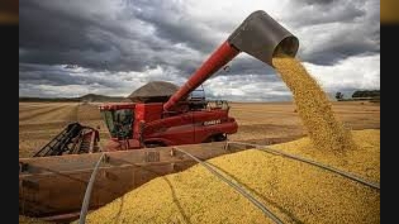 Córdoba tendría la mayor cosecha agrícola de su historia: más de 42 millones de toneladas