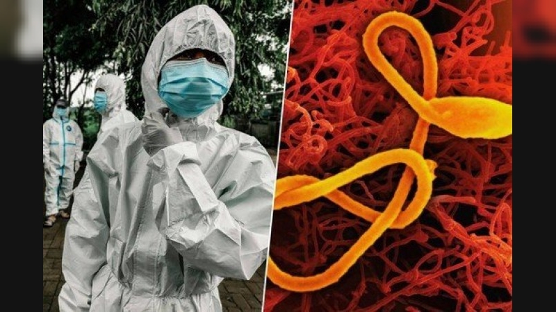Ébola en la Argentina: advierten por embarcaciones provenientes de zonas de riesgo de África
