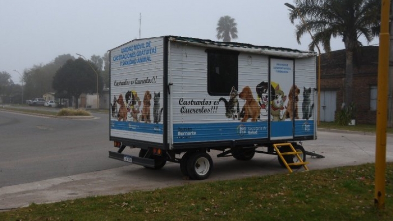Continúan las esterilizaciones de perros y gatos en el quirófano móvil