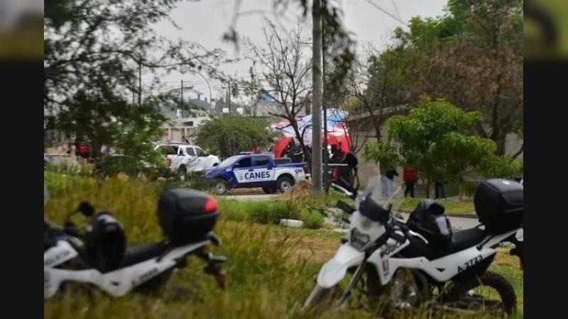 "A Agostina se la busca con y sin vida"