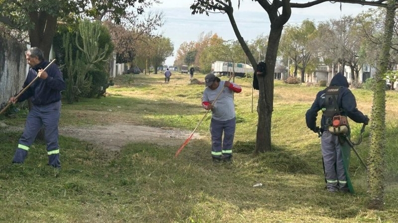 Siguen las tareas de mantenimiento en el FFCC Belgrano y el chipeado de ramas