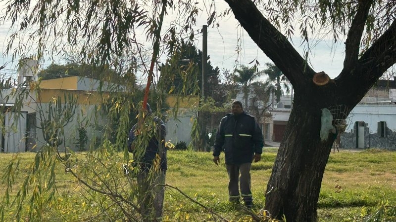 El municipio intervino más de 87.500 metros cuadrados en el sector del Ferrocarril Belgrano