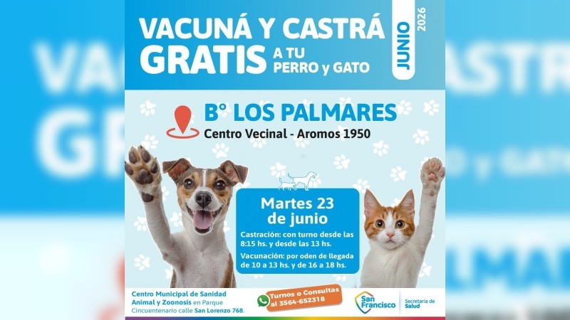 Continúa la vacunación y castración de perros y gatos